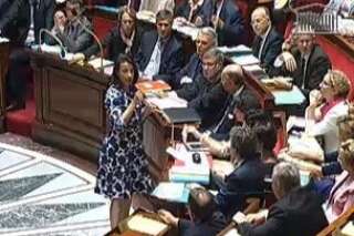 Robe à l'Assemblée: Cécile Duflot regrette sa 