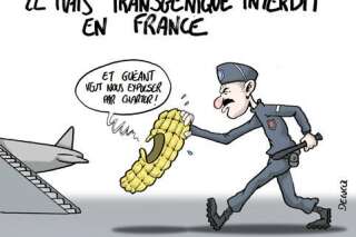 Le maïs transgénique sera-t-il vraiment interdit en France?