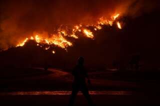 Un incendie près de la centrale thermique de Milas, en Turquie, le 4 août 2021