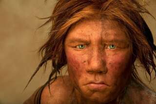 Une femme de Neandertal recréée par des artistes Hollandais à partir de fossiles. Photo d'illustration.
