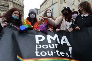 Photo prise lors d'une manifesttaion pro-PMA pour toutes le 30 janvier  2021à Angers(Photo by JEAN-FRANCOIS MONIER / AFP)