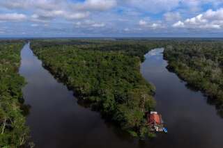 Vue aérienne de la forêt amazonienne près de la réserve de Mamiraua, au Brésil, le 30 juin 2018