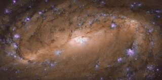 Les galaxies spirales, comme NGC 2903 ou notre Voie Lactée, représentent environ 70% des galaxies relativement 