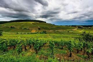 Oui, on peut trouver des vins abordables en Bourgogne