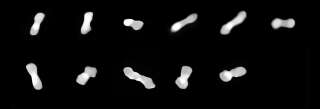 L'astéroïde Cléopâtre vu sous différents angles.