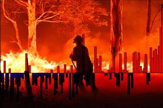 Près de 8 millions d'hectares ont été brûlés depuis la saison des feux en Australie.