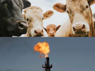 Des solutions simples existent pour réduire les émissions de méthane, souligne un rapport de l'Onu (photo: montage d'illustration)