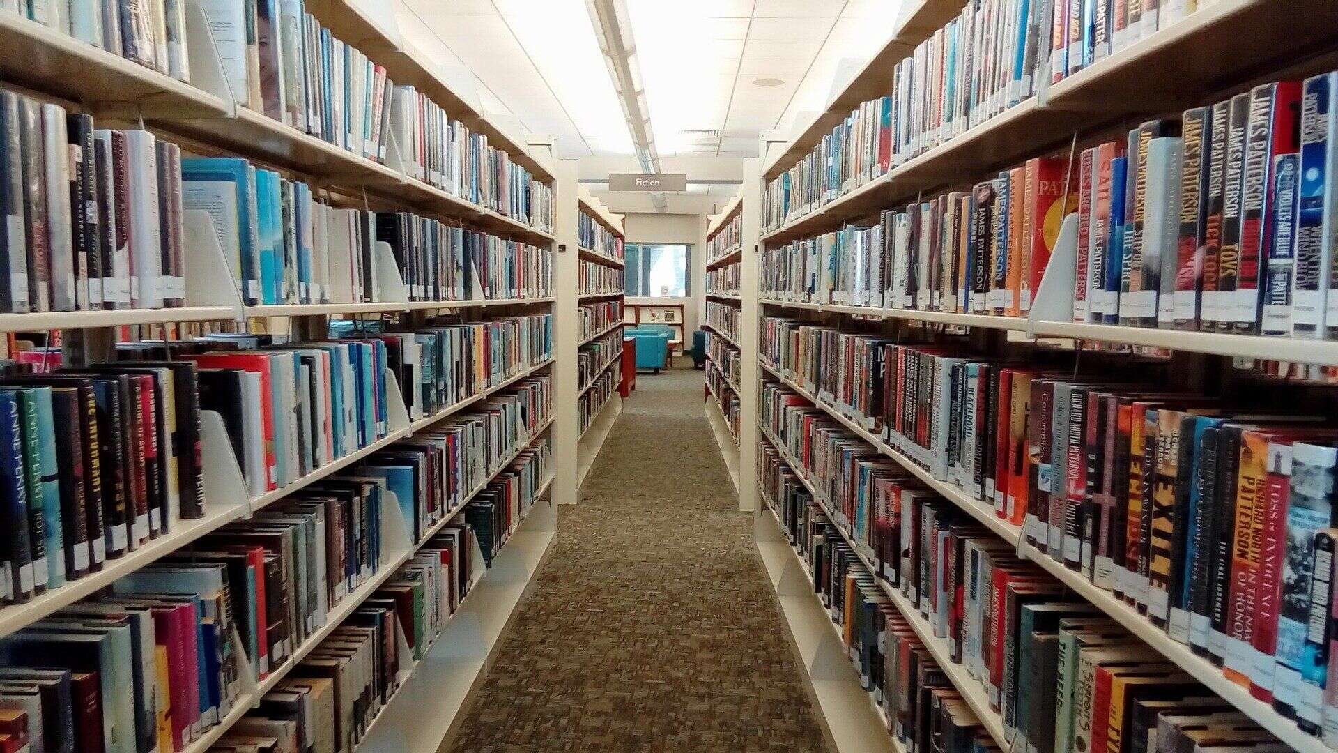 Une bibliothèque déserte.