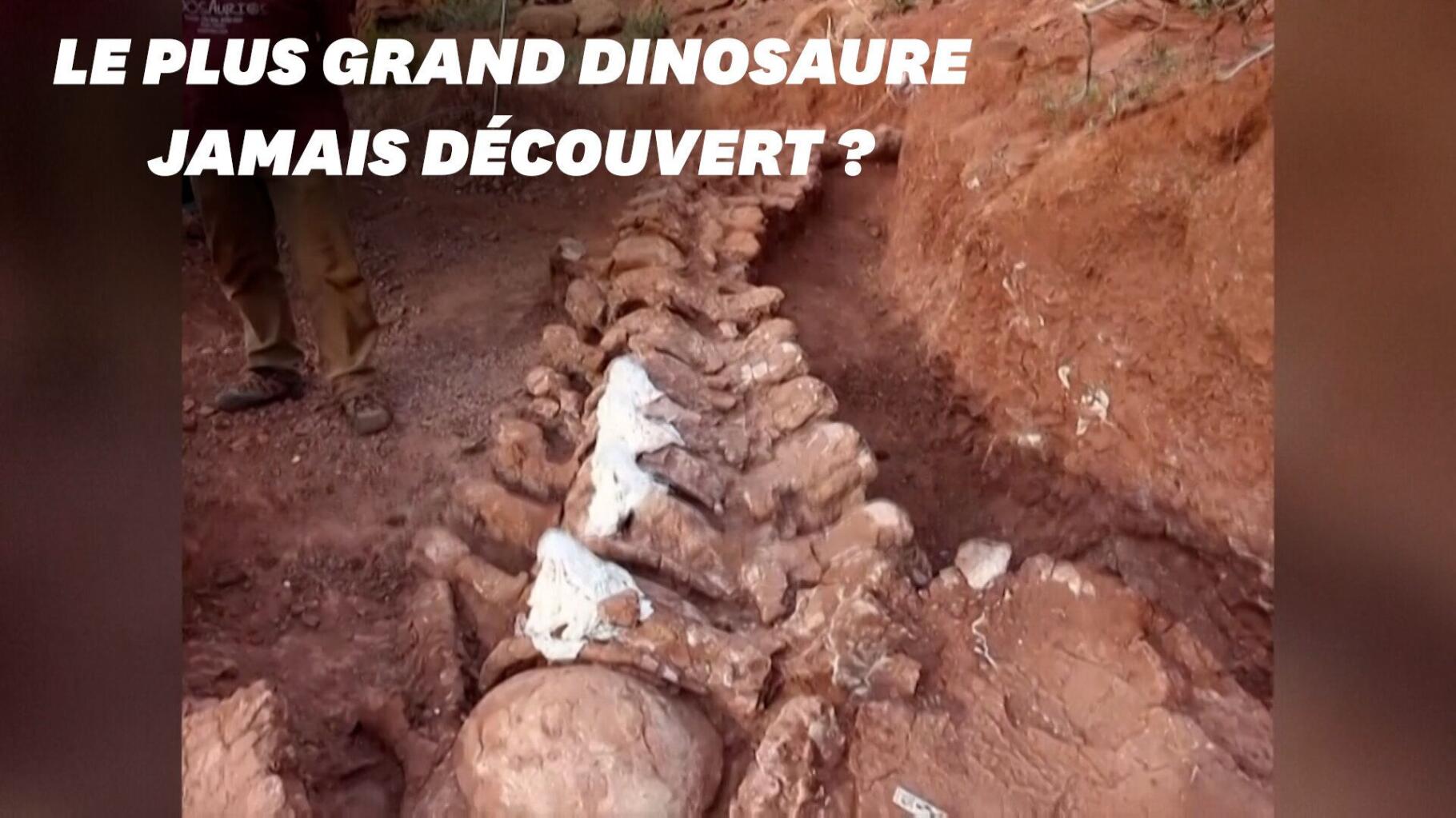 Incroyable ! Il découvre un squelette de dinosaure géant dans son jardin !