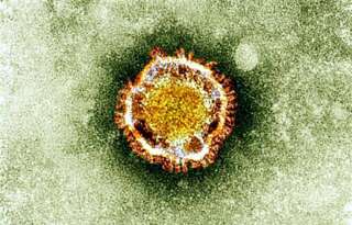 Le remdesivir, un antiviral prometteur contre le nouveau coronavirus covid-19. (photo d'illustration d'un coronavirus)