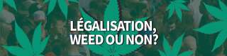 Légalisation du cannabis: c'est weed ou bien c'est non?