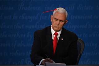 Pendant son débat avec Kamala Harris, Mike Pence a été perturbé par une mouche, devenue la star de la soirée