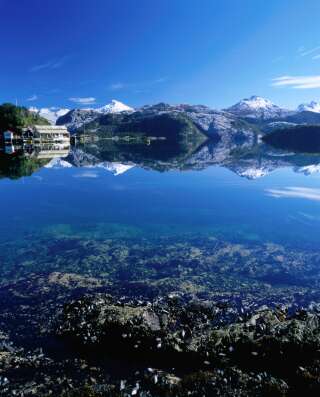 L'île de Guarello en Patagonie à l'extrême sud du Chili.