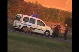 Des policiers municipaux tirent sur un chien perdu, une pétition réclame des sanctions