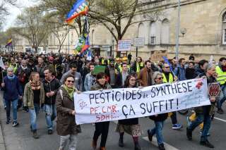 Une manifestation contre les pesticides, à Bordeaux, le 14 mars 2020