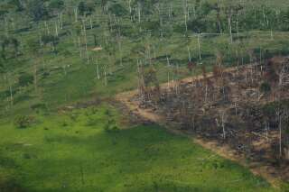 Une vue aérienne d'une parcelle déboisée de la forêt amazonienne dans l'État de Rondonia, au Brésil, le 28 septembre 2021.