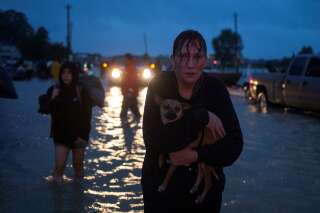 Après le passage de la tempête Harvey, le maire de Houston impose un couvre-feu pour éviter les pillages