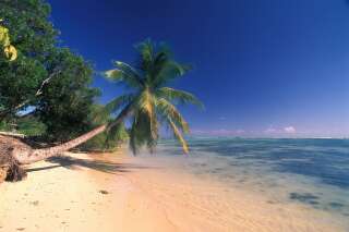 Des plages de la Martinique et la Guadeloupe enfin autorisées à rouvrir