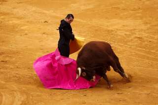 Les Baléares interdisent les corridas avec mise à mort