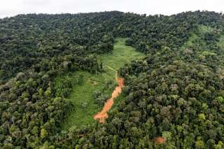 Vue aérienne du future site de la Montagne d'Or, en Guyane.