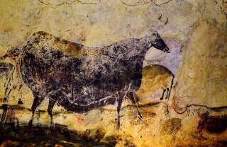 Photo d'une peinture préhistorique d'un taureau dans la grotte de Lascaux, prise en juillet 2008.