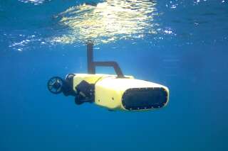 Rangerbot, le robot programmé pour chasser les étoiles de mer tueuses de la Grande barrière de corail