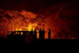Depuis la fin du mois de septembre, l'Australie fait face à une situation critique face aux incendies.