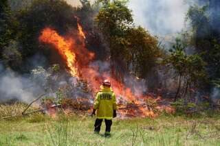 Avec six morts en deux mois et des surfaces importantes brûlées, l'Australie vit peut-être les pires incendies qu'elle ait connus.