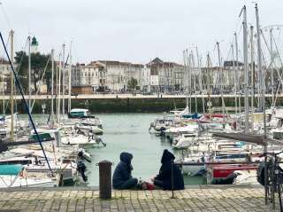 Le port de la Rochelle a un nouvel habitant, un morse qui s'est perdu. (photo d'illustration)