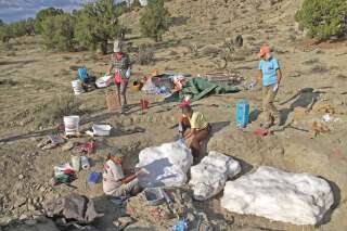 Dans l'Utah, les terres des dinosaures de nouveau protégées