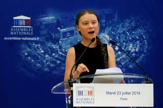 Greta Thunberg nous fait courir le risque d'une déresponsabilisation écologique
