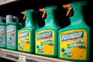Comment se débarrasser du Roundup et autres herbicides