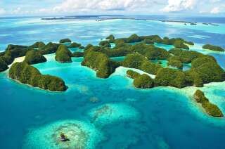L'archipel des Palaos a pour projet de créer un immense sanctuaire marin pour protéger la faune et la flore marine d'Océanie.