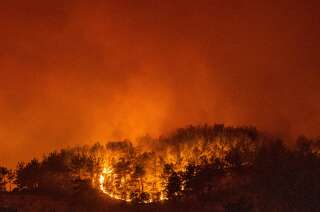 Une forêt en feu dans le village d'Akcayaka, en Turquie, le 6 août 2021.