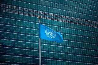 Le drapeau de l'Organisation des Nations unies (ONU).