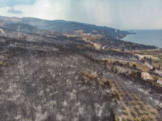 Burned forest near Rovies. Panoramic aerial bird's eye view of a drone shows devastating aftermath of wildfires in Evia island in Greece after the fire that lasted almost 10 days burning forests, pine trees, olive groves, houses, villages, businesses, vehicles, camping, electrical grid facilities, animals etc , leading many evacuations of villages. Evia Island, Greece on August 2021 (Photo by Nicolas Economou/NurPhoto via Getty Images)