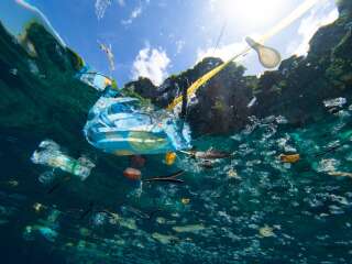 Chaque année, plus de 8 millions de tonnes de déchets plastiques sont déversées dans les océans.