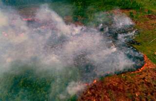 L'Amazonie et le Pantanal connaissent un nombre record d'incendies en ce moment.