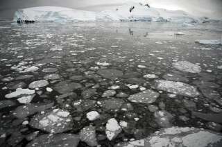 La fonte des glaces s'accélère en Antarctique, où les glaciers sont surveillés de près alors que les températures augmentent