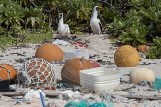 L'île Henderson, classée au patrimoine mondial de l'Unesco, est noyée sous le plastique