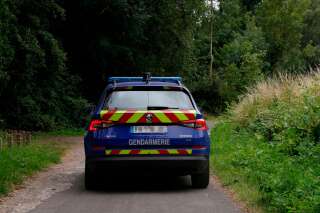 Dans le Vaucluse, la gendarmerie a ouvert une enquête après avoir découvert une jument éventrée et un poney à l'oreille lacérée.