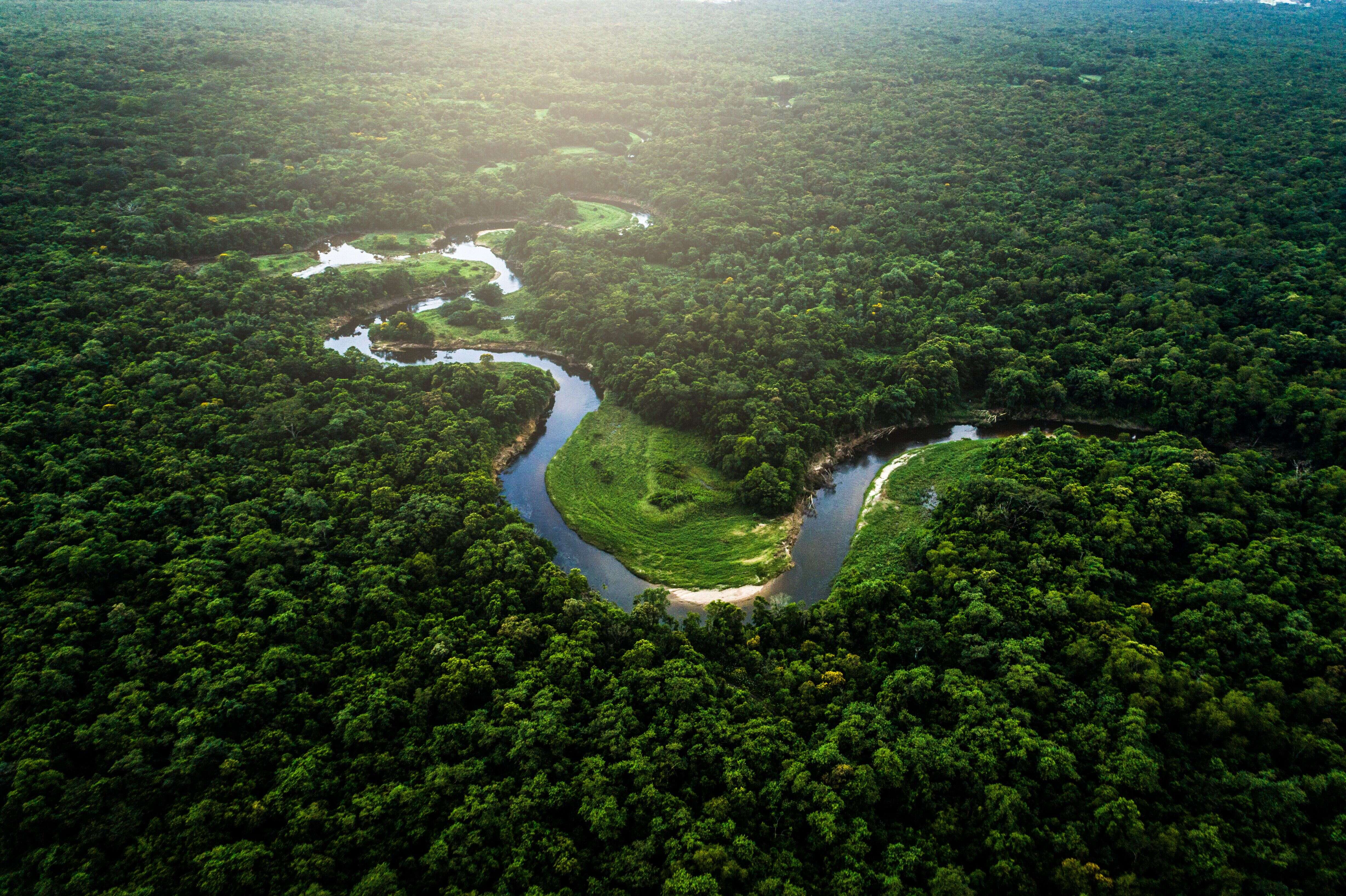 Plusieurs dons importants ont été faits en faveur de l'Amazonie, qui est victime de nombreux incendies.