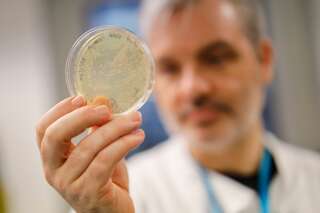 Ce chercheur britannique tient dans sa main des bactéries contenant le nouveau coronavirus, appelé aussi Covid-19.