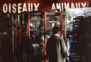 Le marché aux oiseaux de l'île de la Cité à Paris va fermer (Photo: Le marché aux oiseaux sur le quai de la Mégisserie, à Paris, en novembre 1988. Par Marc TULANE/Gamma-Rapho via Getty Images)