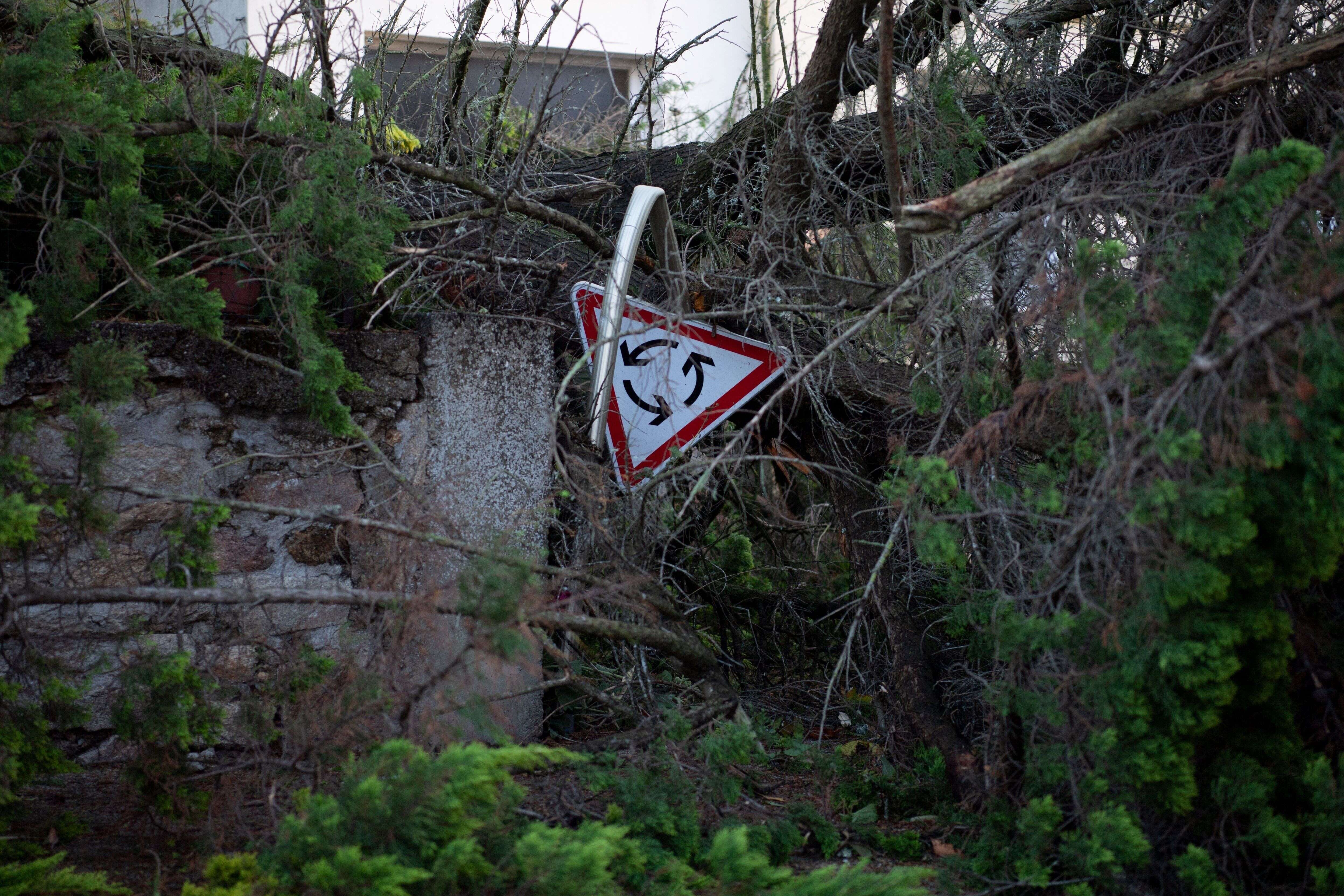 La tempête Alex a fait un mort en Bretagne. Selon la préfecture, il s'agit d'un cycliste tué par la chute d'une branche. (photo d'illustration prise à Vannes le 2 octobre)