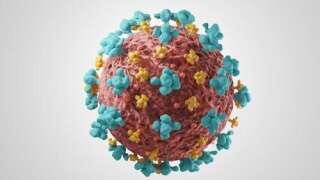 Une nouvelle souche du coronavirus disposant de diverses mutations serait apparu dans le sud-est de l'Angleterre.