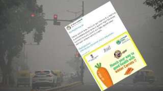 Face à la pollution en Inde, le ministre de la Santé conseille... de manger des carottes