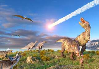 Ce serait bien l'astéroïde à l'origine du cratère de Chicxulub qui a entraîné l'extinction des dinosaures