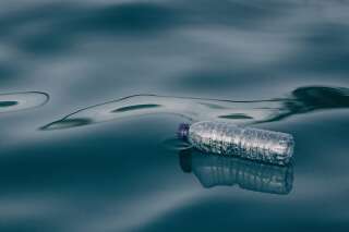 L'eau embouteillée est la première source d'ingestion de plastique.