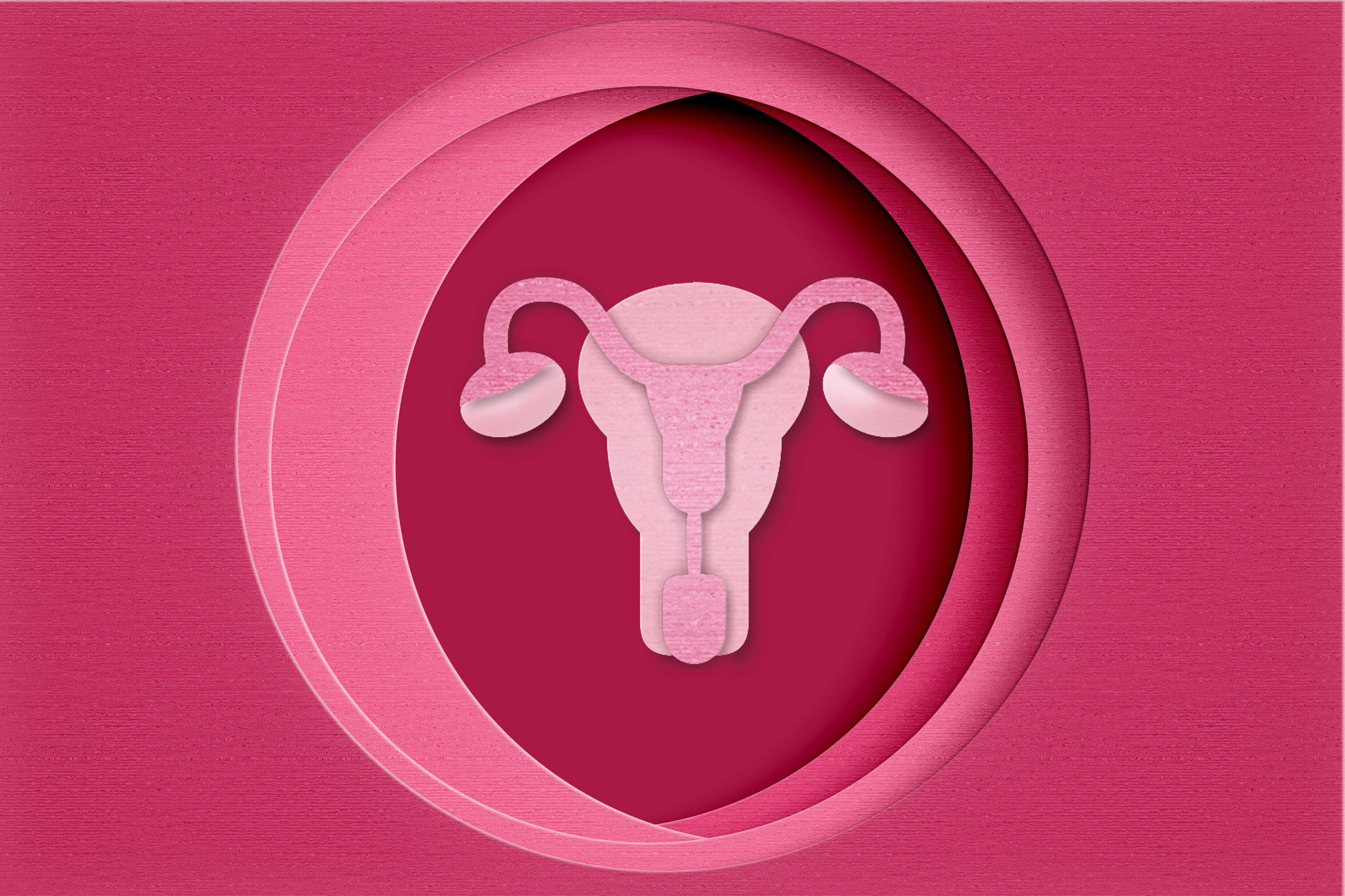 uterus un paper work.Pink backgroundArt concept of female reproductive health